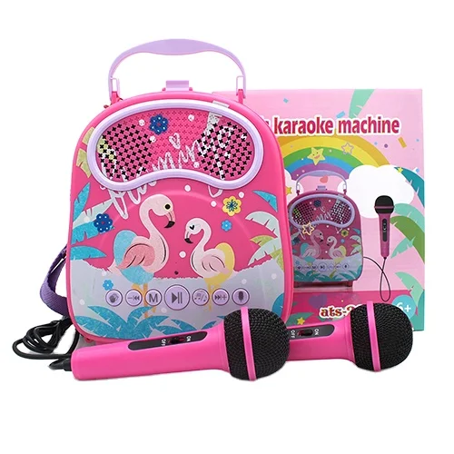 2021 New Arrival Toys Electronics Instruments Children Kids Carry Bag Stereo Music Box Kids Microphone Karaoke System Machine