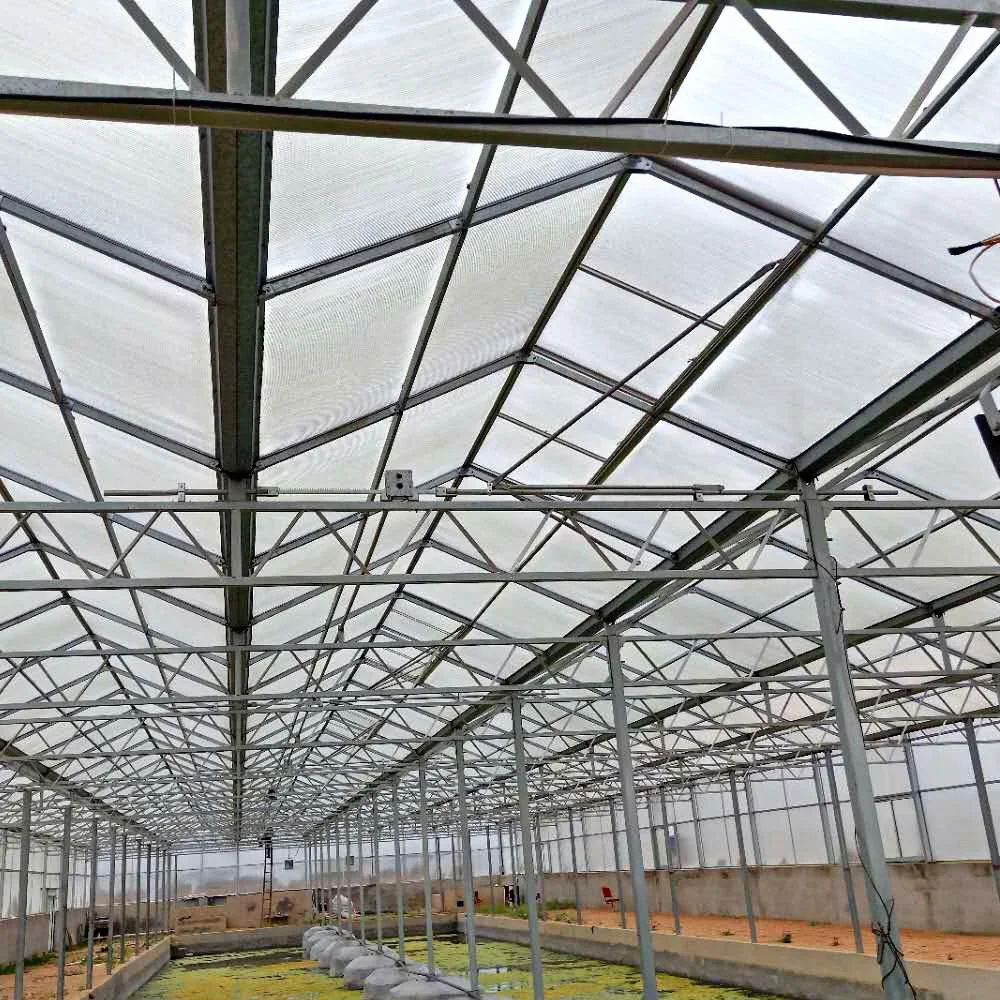
Multi-span Venlo Glass Solar Greenhouse for Flower Vegetable Fruits Planting 
