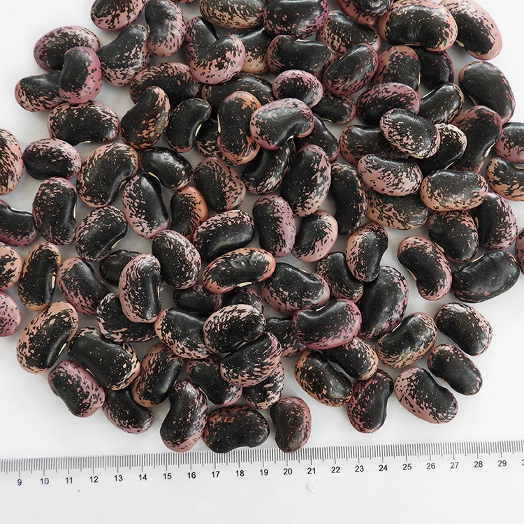 Scarlet runner bean kidney beans