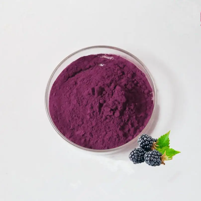 
100% Natural juice powder mulberry extract powder for drink factory wholesale best price 