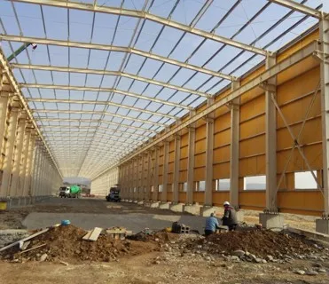 2022 птицефабрики домашние животные стальная конструкция строительный стальной