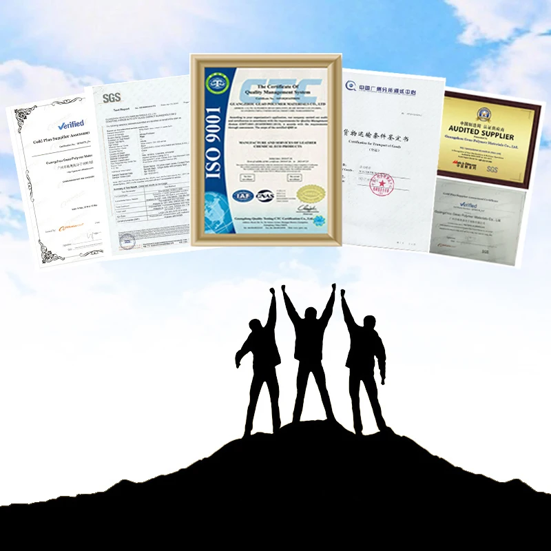 
OEM aerosol can pack leather ,sued &nubuck water and stain protector spray 