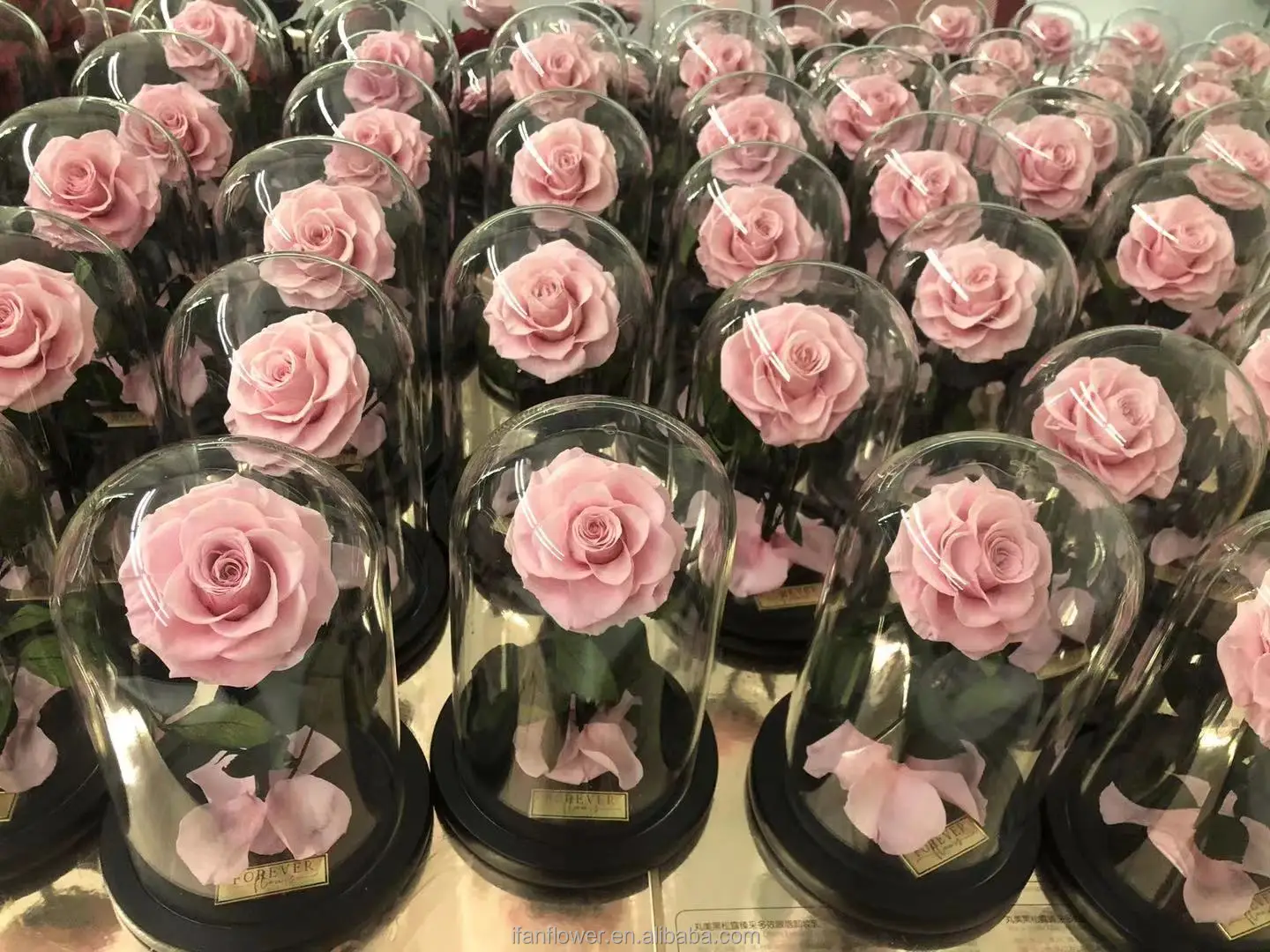 2021 Preserved flower in glass long life rose wholesale dried flowers preserved orchids preserved flowers