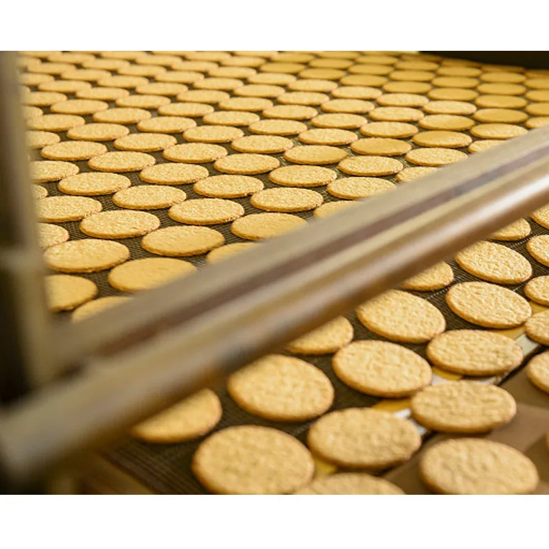 Industrial hard and soft machine animal biscuit machinery ship biscuit equipment from Shanghai