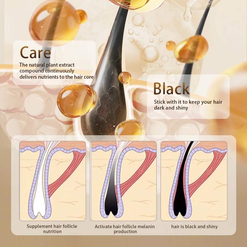 Wholesale Shampoo Nourish Scalp Black Reishi Polygonum Multiflorum Natural Anti Loss Black Hair Shampoo For Hair Growth Products