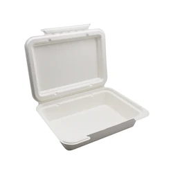 The Best Sugarcane Takeaway Lunch Boxes Fast Food Container Biodegradable Packaging Bagasse Food Container