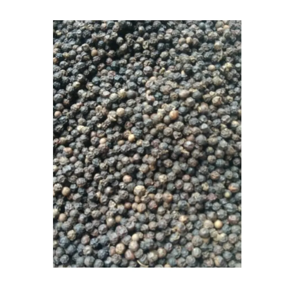 Natural Hot Sale Farmer Price to Export Pure Spices Dried Black Pepper Single Herbs & Spices 1 Kg Baked Round