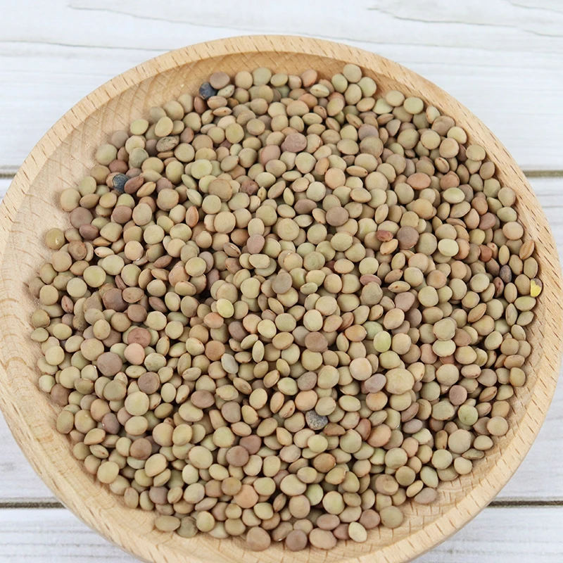Green Lentils best quality