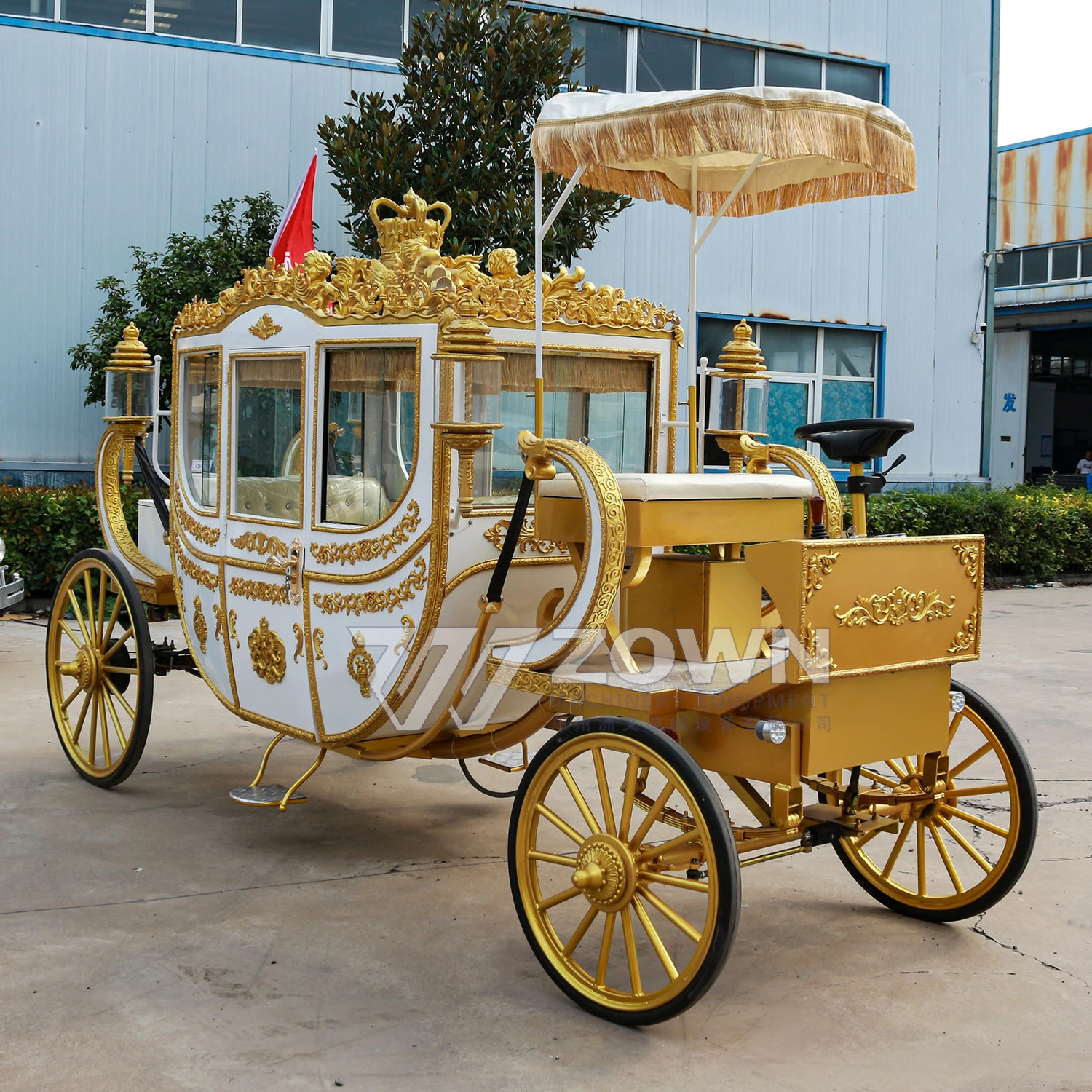 Роскошные электромобили Golden Royal Coach с высококачественным аккумулятором без