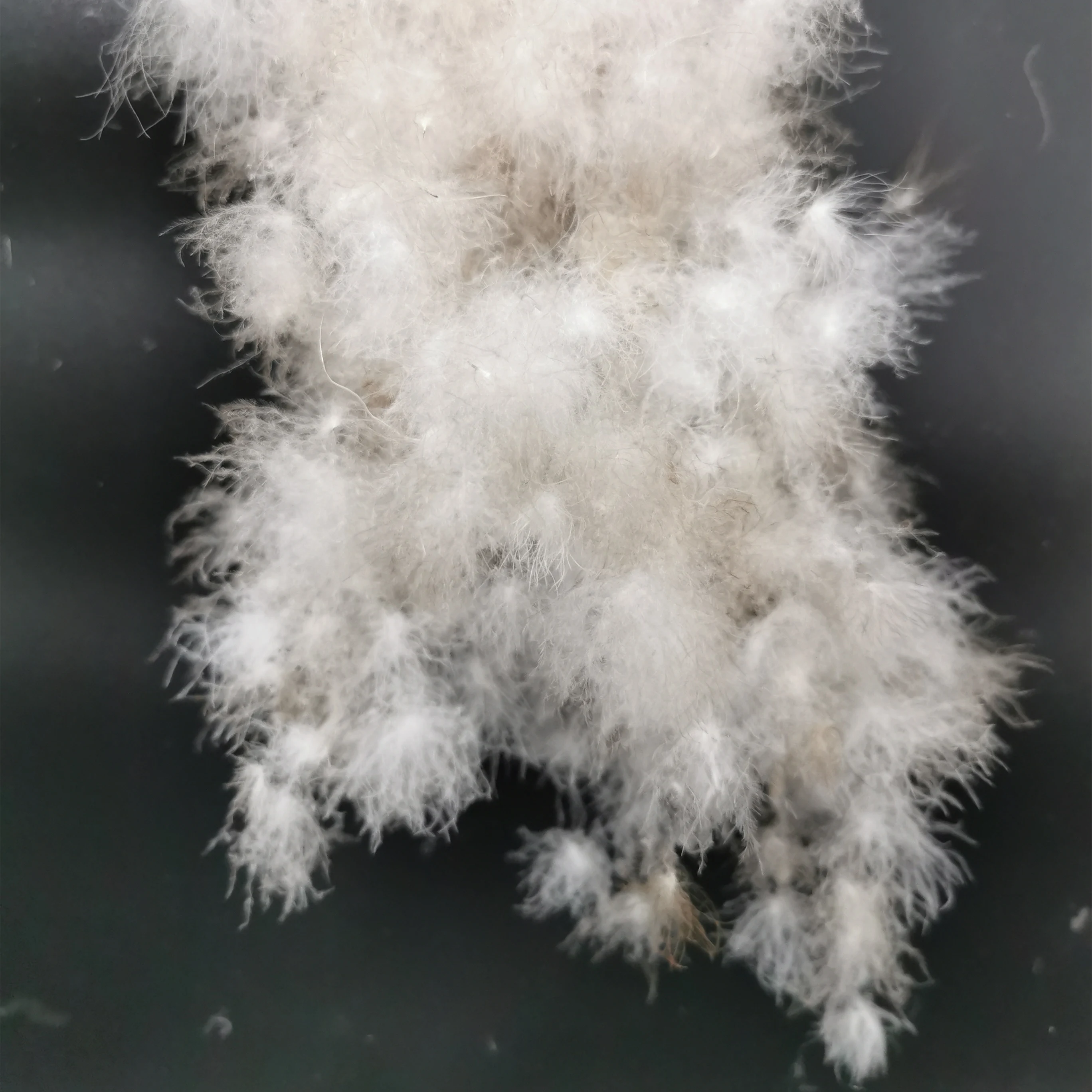 Распродажа 95%, мытый серый мусковый материал, одежда, пуховое перо