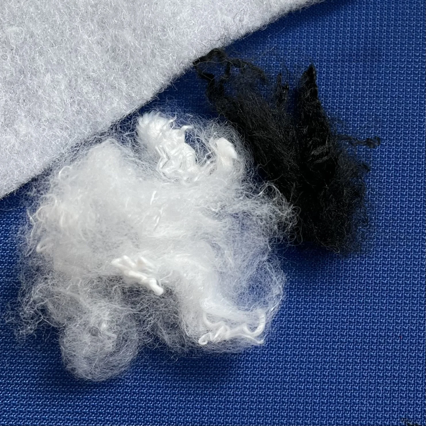 Black china manufacturer virgin best price of polyester fiber for 100% psf low melt fiber LMF