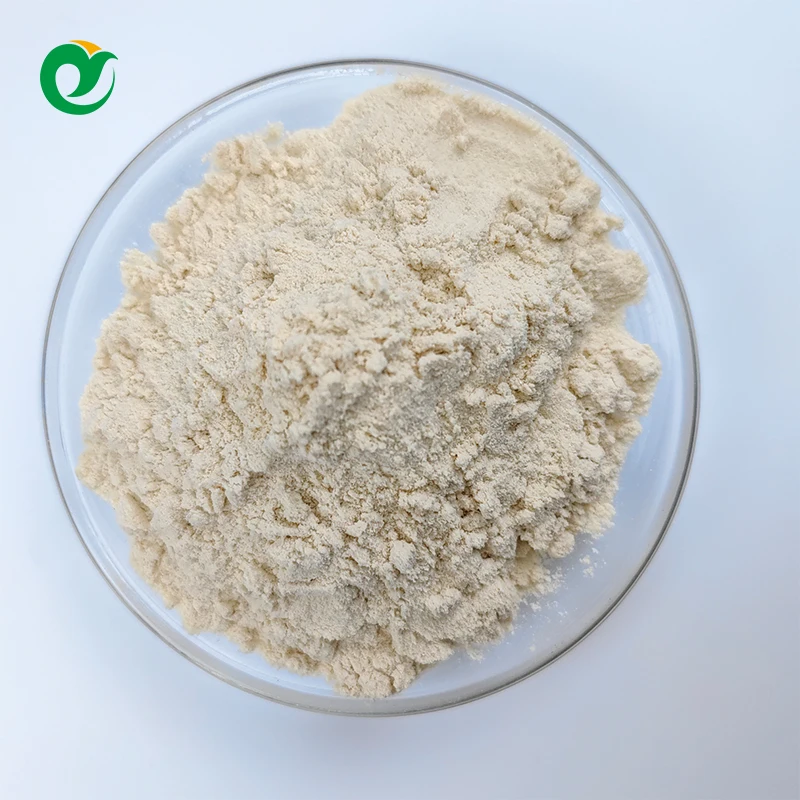 Factory Price OEM GMP Whey Protein Golden Standard Isolate Concentrate For Promote Muscle Gym