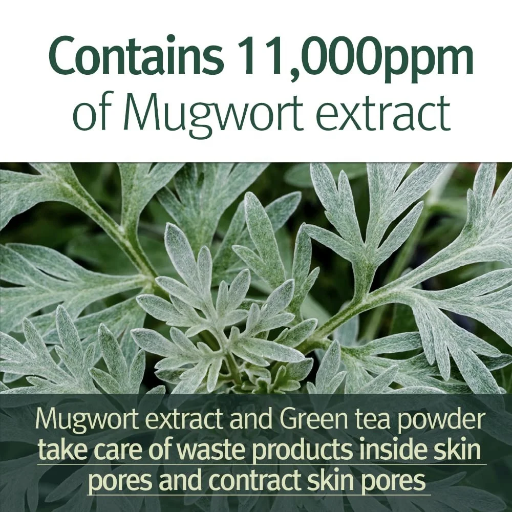 Green Tea and Matcha Infused Dead Sea Mud Mask with Aloe Vera Deep Cleansing and Hydrating Relaxing Volcanic Clay for Face Nose