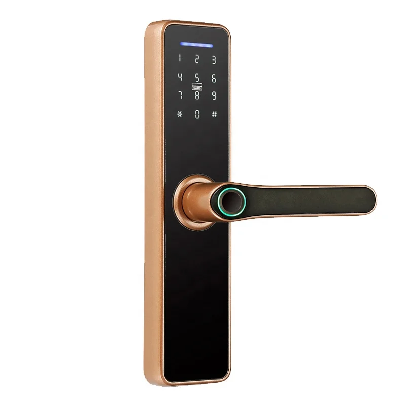 outdoor automatic electronic password card gate smart lock for door handle