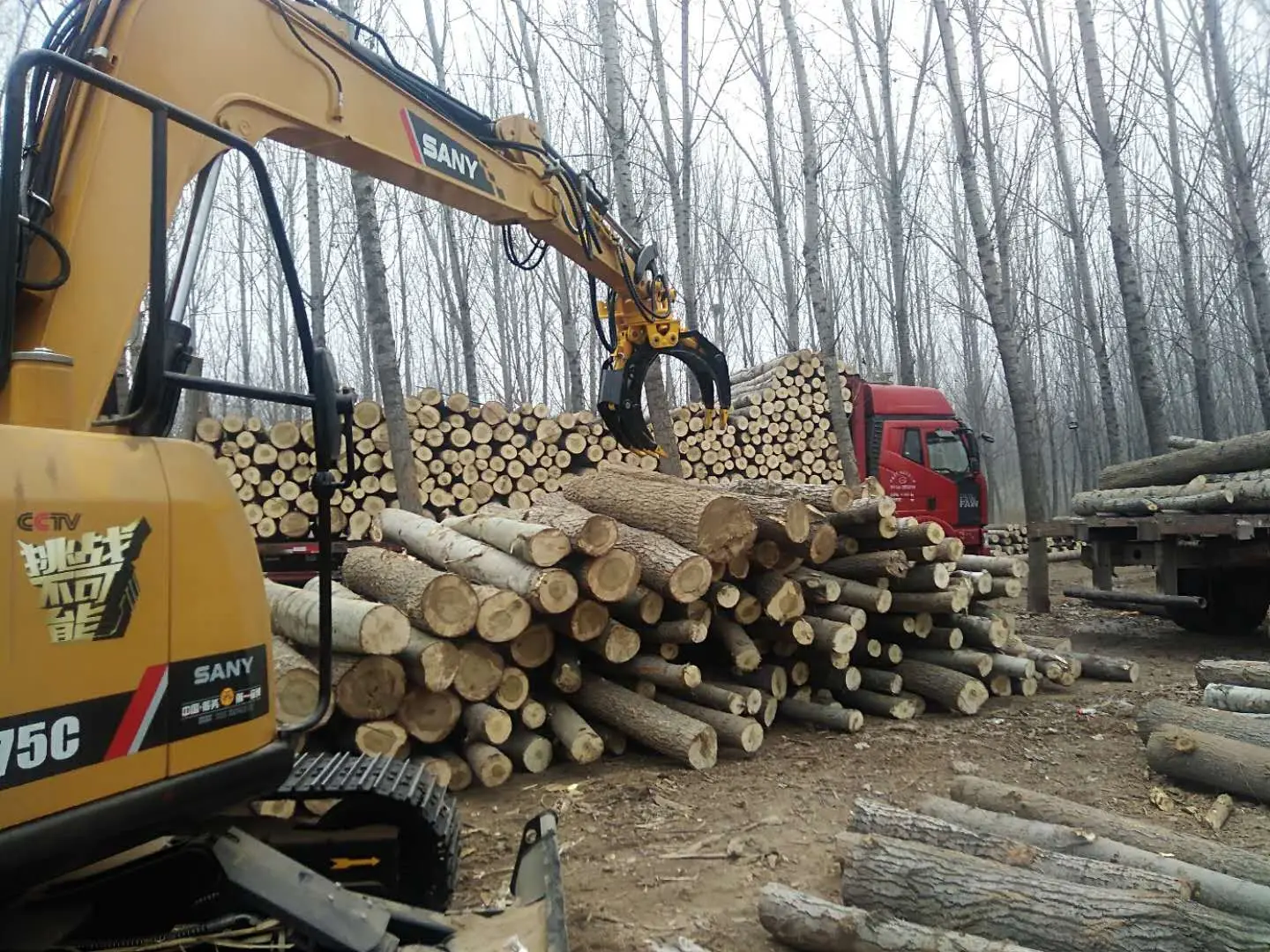 360 Rotating 20 Ton Excavator 5 Fingers MS Motor Forestry Hydraulic Log Grab