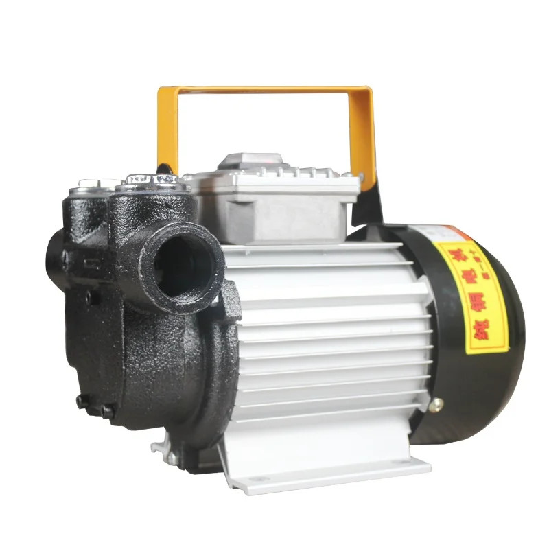 AC 110v 120v 220-240v 550W 750W 1100W  DIESEL KEROSENE FUEL OIL PUMP