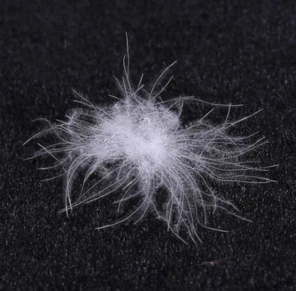 
5%white goose down 95% white goose feather down duvet down sleeping bag filling material 