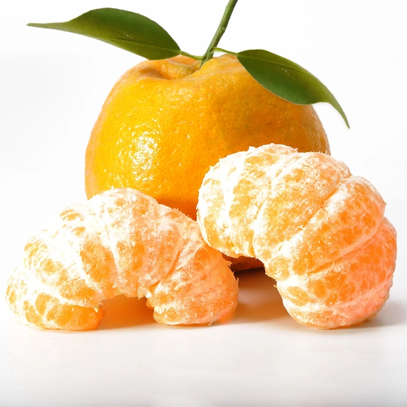 
Best Selling Fresh Citrus Fruit Canned Ponkan Sweet Style Storage Packing Weight Material Normal Raw Temperature Origin Tin 