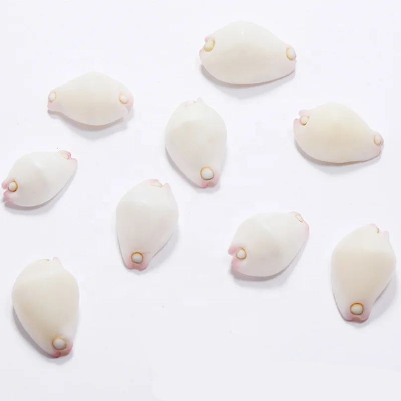 2.5cm Natural White Jade Rabbit Snail White Conch for Diy Treasures Rare Shell Collection Gift