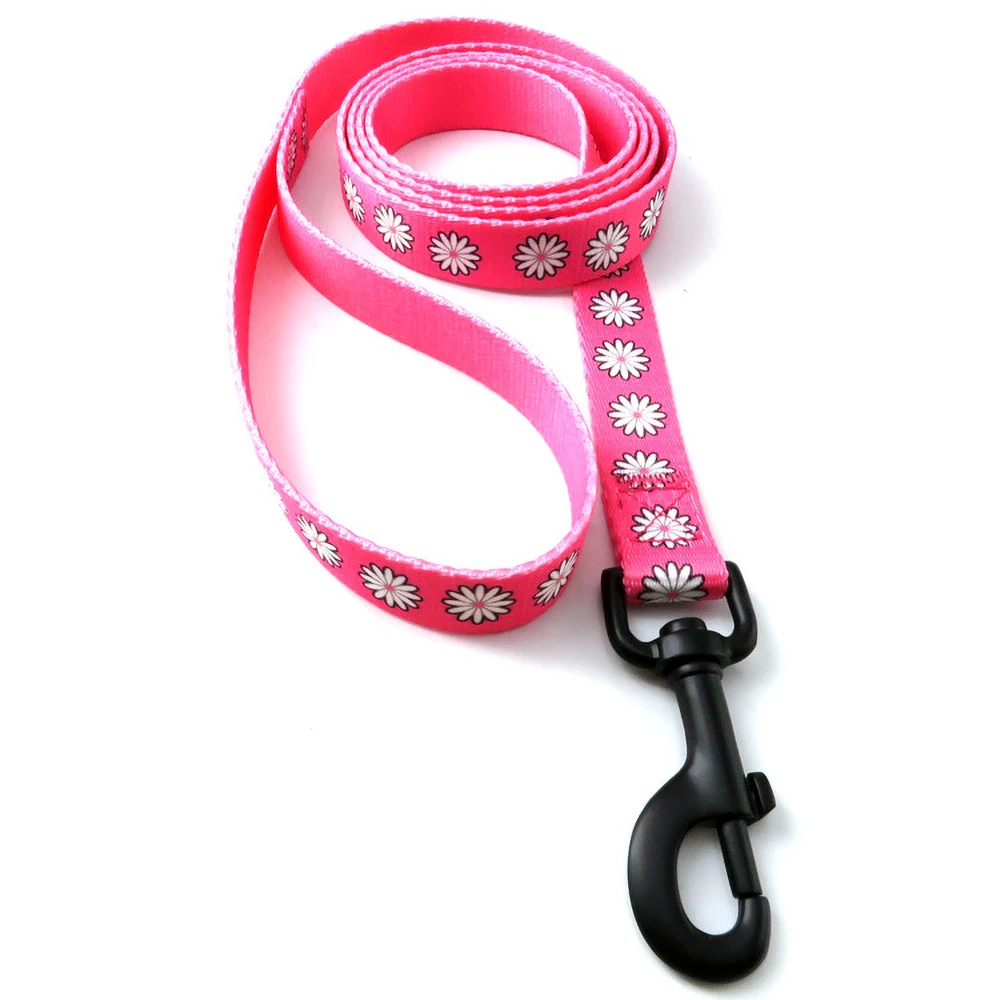 
Wholesale 25 Mm Width 10 Ft Customized Dog Buying Safety Nylon Leads Leash// 