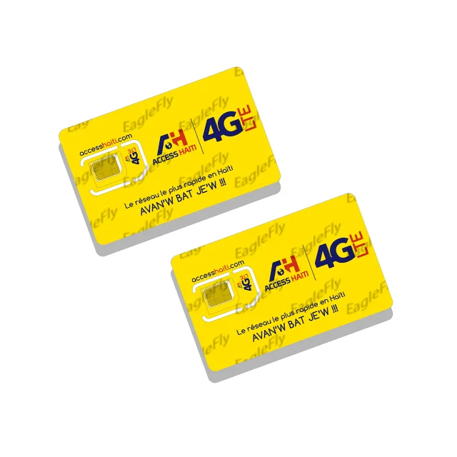 Wholesale Global Standard 64k 128k 2G 3G 4G Mobile Hotspot Phone SIM Card For GPS Tracker And Smart Watch EagleFly Factory
