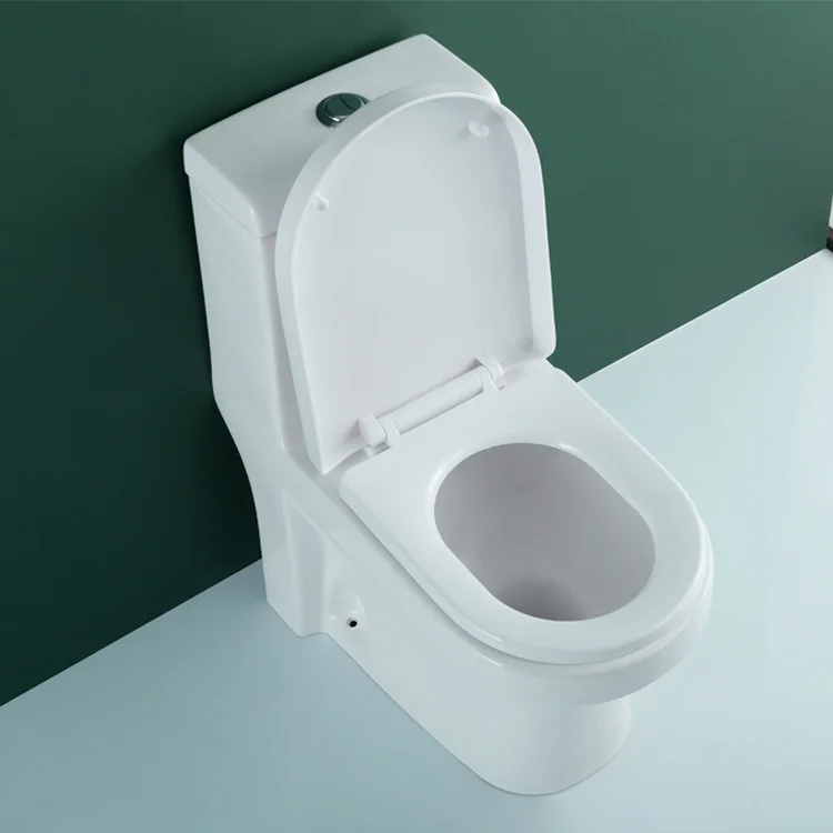 WDSI Incenoration Toilet Sitz Bath For Toilet Seat Toilet Sanitary