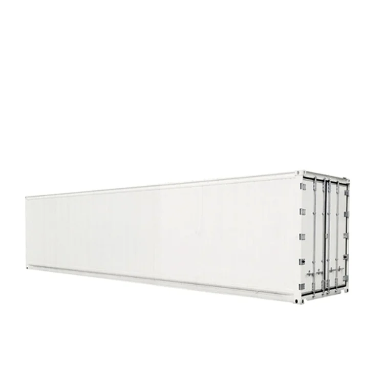 45 Feet Refrigerated Container Equip Double Voltage Cooling Unit