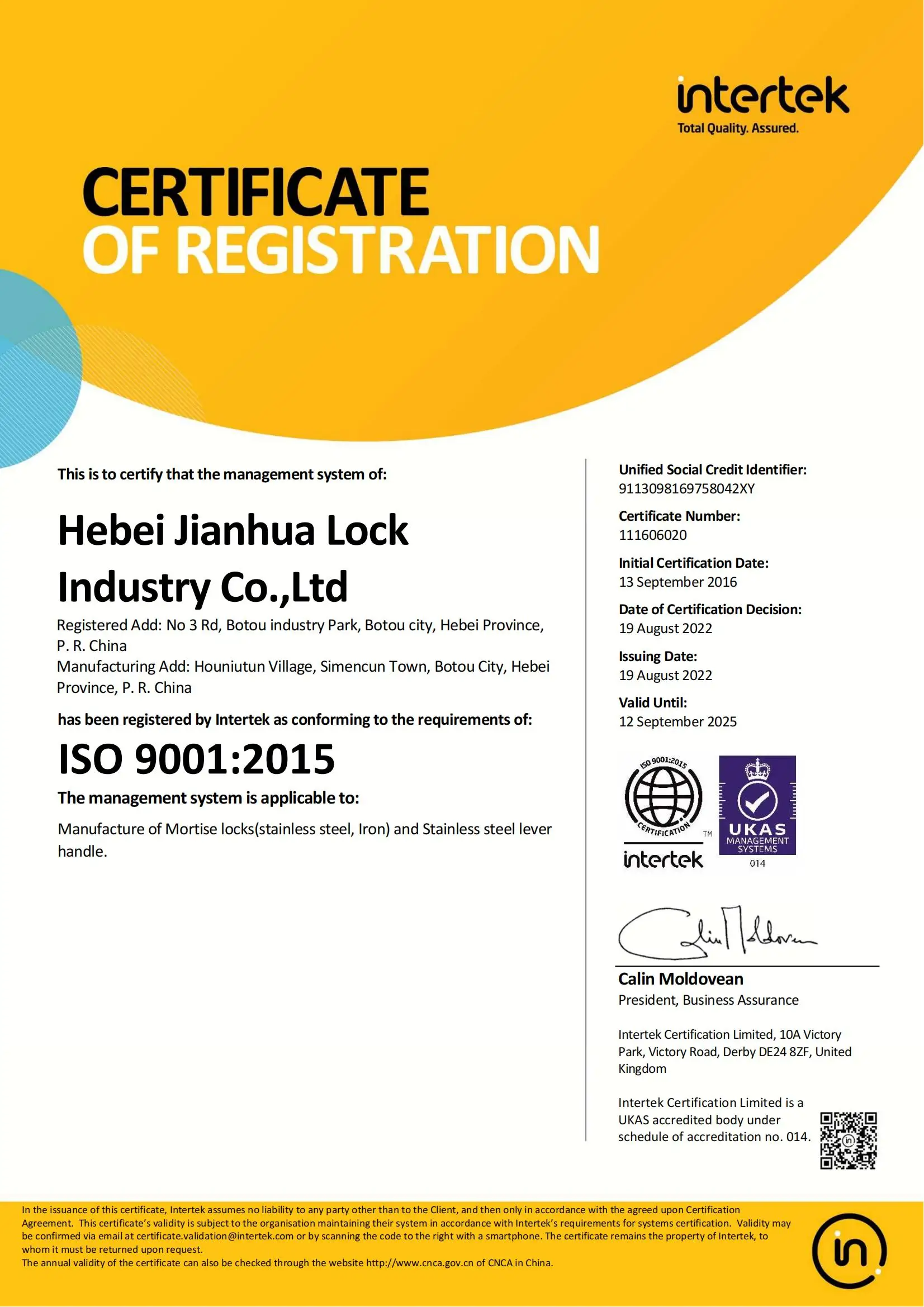 Euro Profile Mortise Lock Roller stainless steel door roller lock