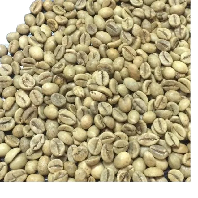 VIETNAM ROBUSTA COFFEE BEANS R1S16, R1S18 CLEANED, WASHED, WET POLISHED FROM DIRECT SUPPLY FOR EXPORT