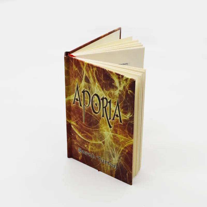 Customized high quality offset printing hardcover book