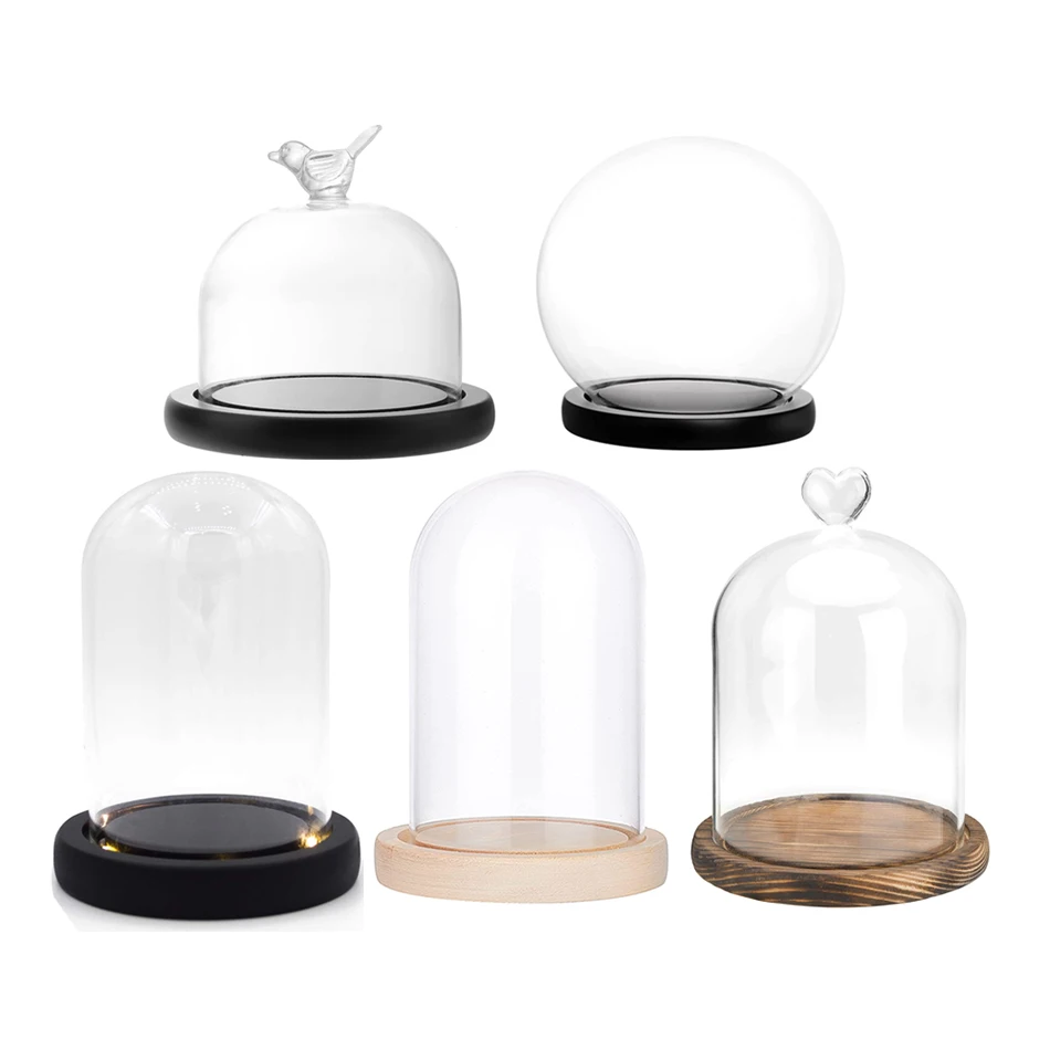 heat resistant clear borosilicate cloche bell jar glass dome decorative terrarium preserved flower rose led light glass dome