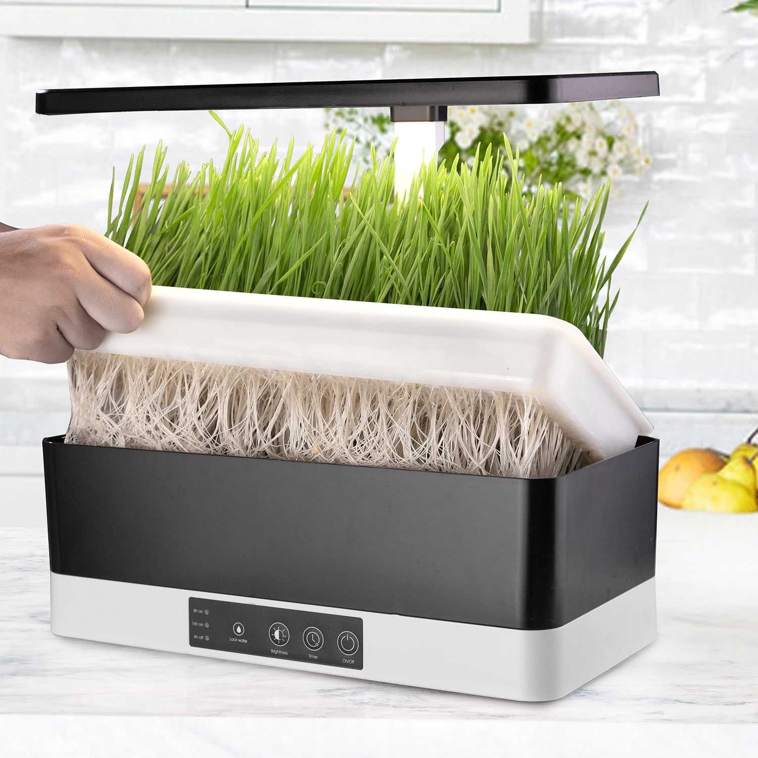 microgreen shelf  hydroponic system No deformation repeated use microgreens grow tray