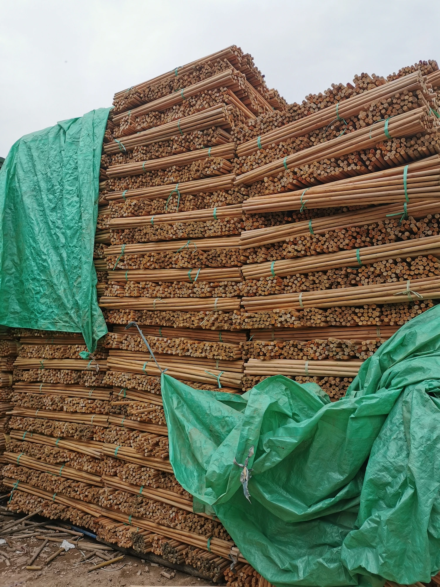 Factory Directly Supply Cheap Stick Broom Eco Friendly Sweeping Brush Handles Cleaning Long Handle Windproof Broom Dustpan Set