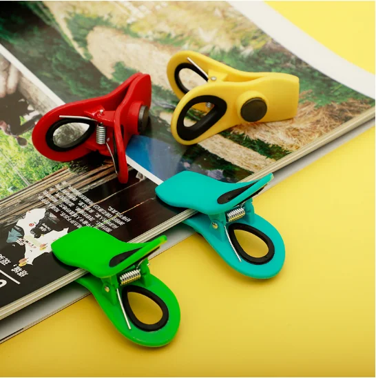 Plastic clip with magnet