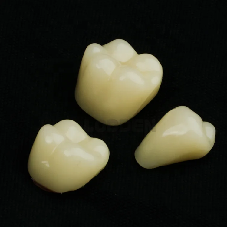 Synthetic Resin Teeth Full Set Two-Layers Teeth SND Factory Price Acrylic Resin Teeth For Clinic Lab