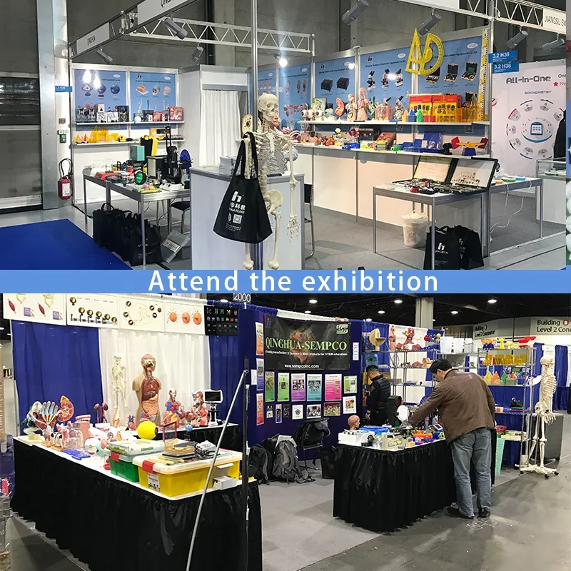 Laser optical demonstration instrument