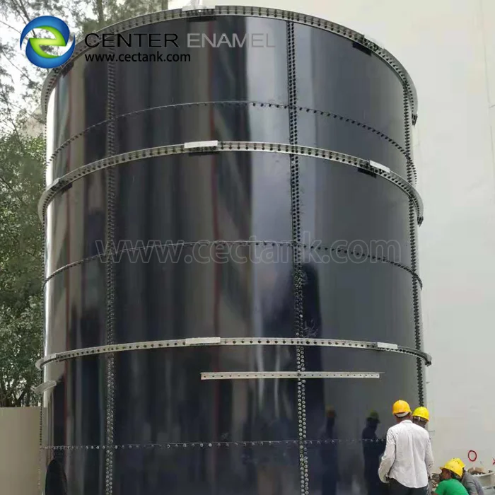 reactor tank mounted with biogas storage holder