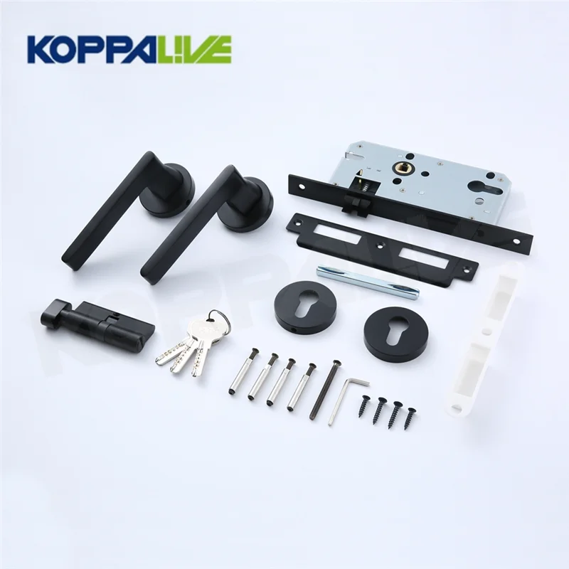 Koppalive Luxury European Bedroom Kitchen Brass Mortise Door Lock Set Privacy Passage Lever Door Handle Knob