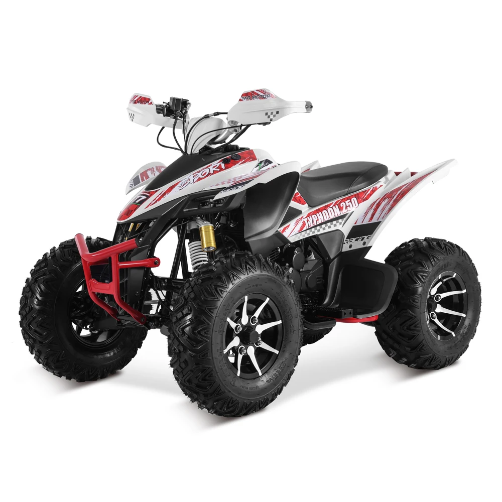 Tao Motor 2024 New Cuatrimoto Manual Gear 250cc 4x4 ATV Automatic Electric Start Alloy Rim Moto Tvs 125 Chain Drive Adult Size