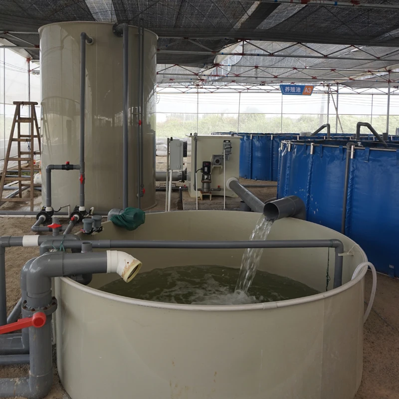 Circular Fish Farm with Tanks  for Commercial Fish Farm  ras system equipment customize indoor ras fish farming