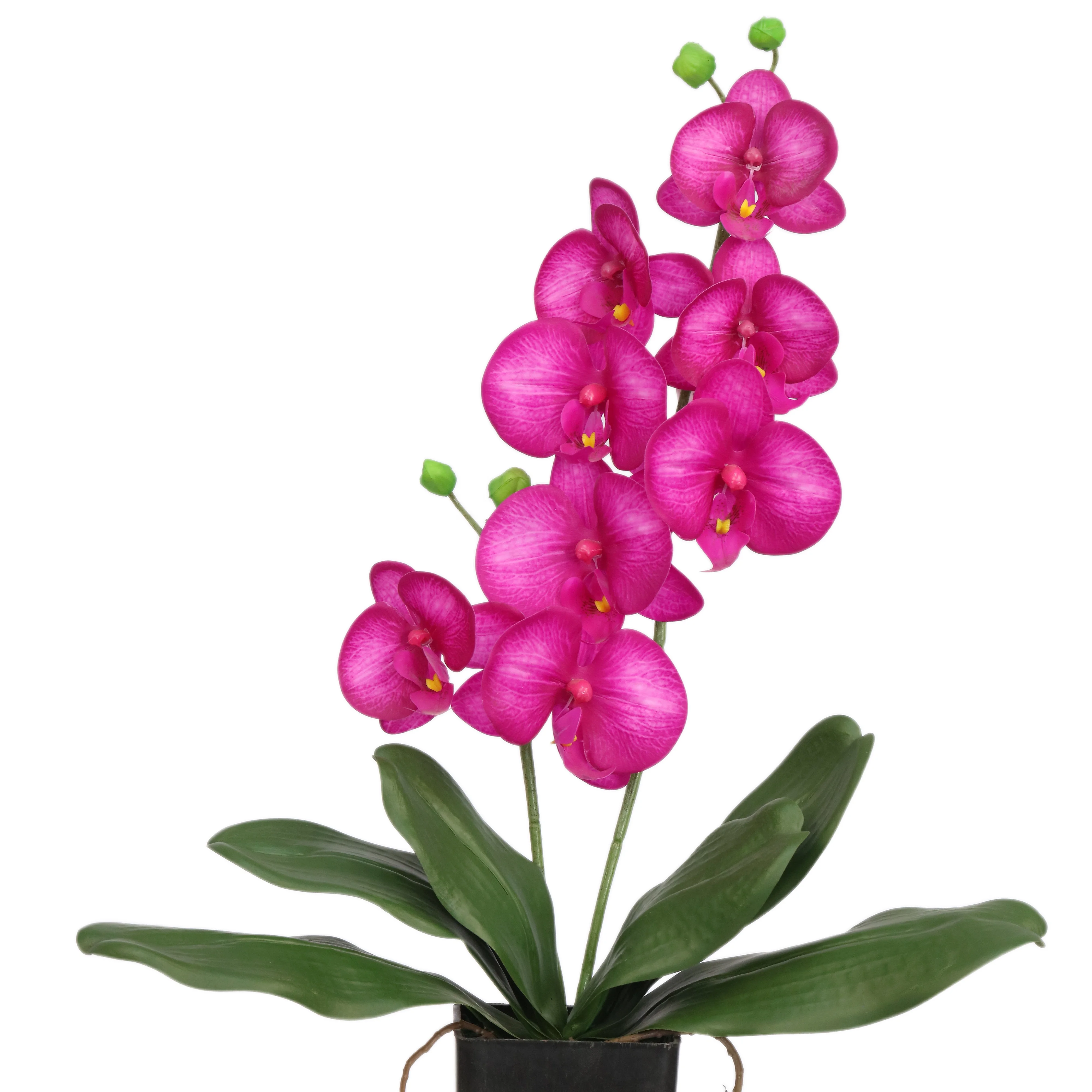 wholesale silk simulation orchid flower arrangements artificial phalaenopsis orchids flasks
