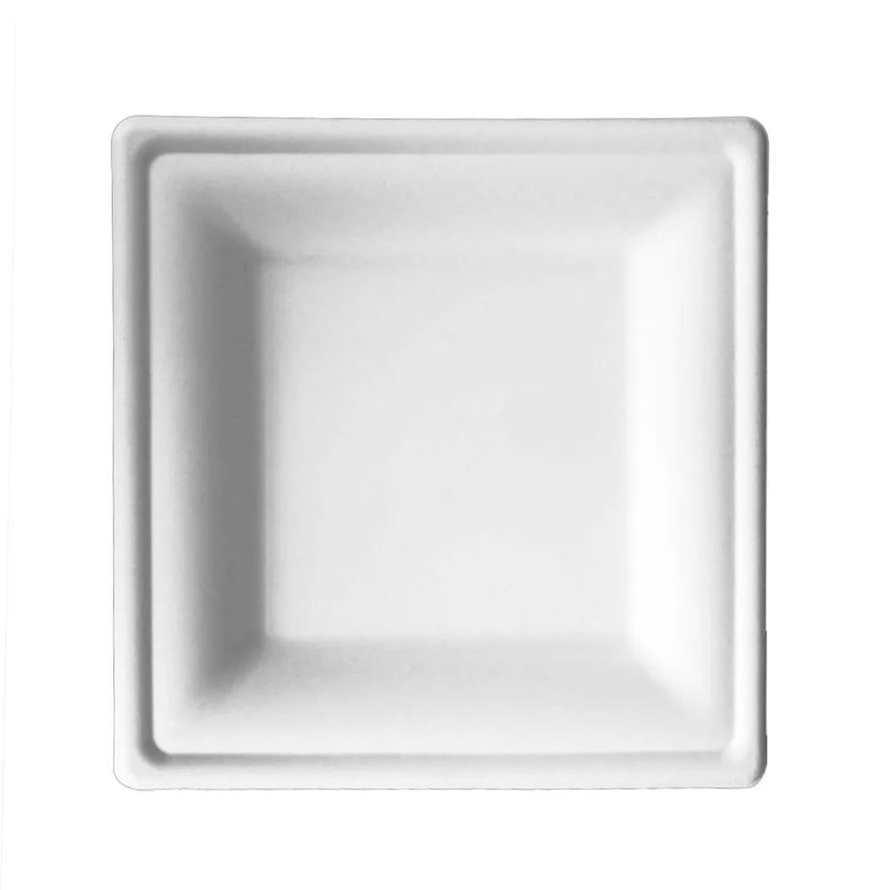 
Water proof renewable 10 inches biodegradable food service dish 