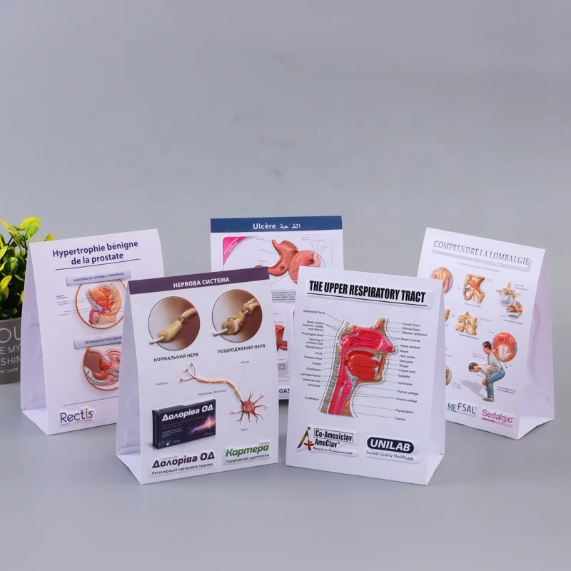 customized 3D Medical Human Anatomy Wall Chart / Poster - desk poster