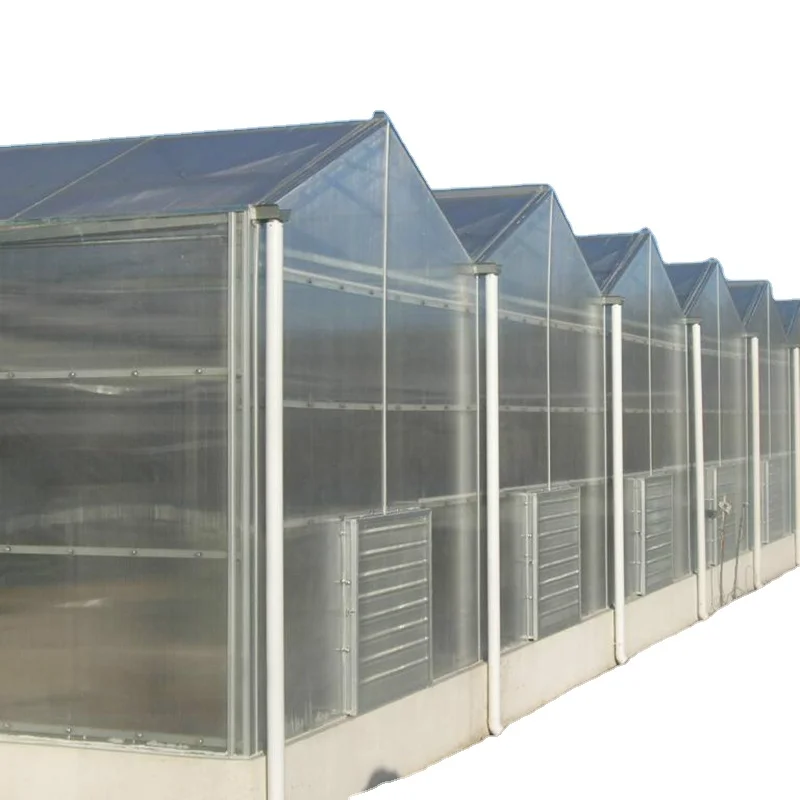 Customized Large Multi-span Commercial  polycarbonate sheets Greenhouses For Agriculture