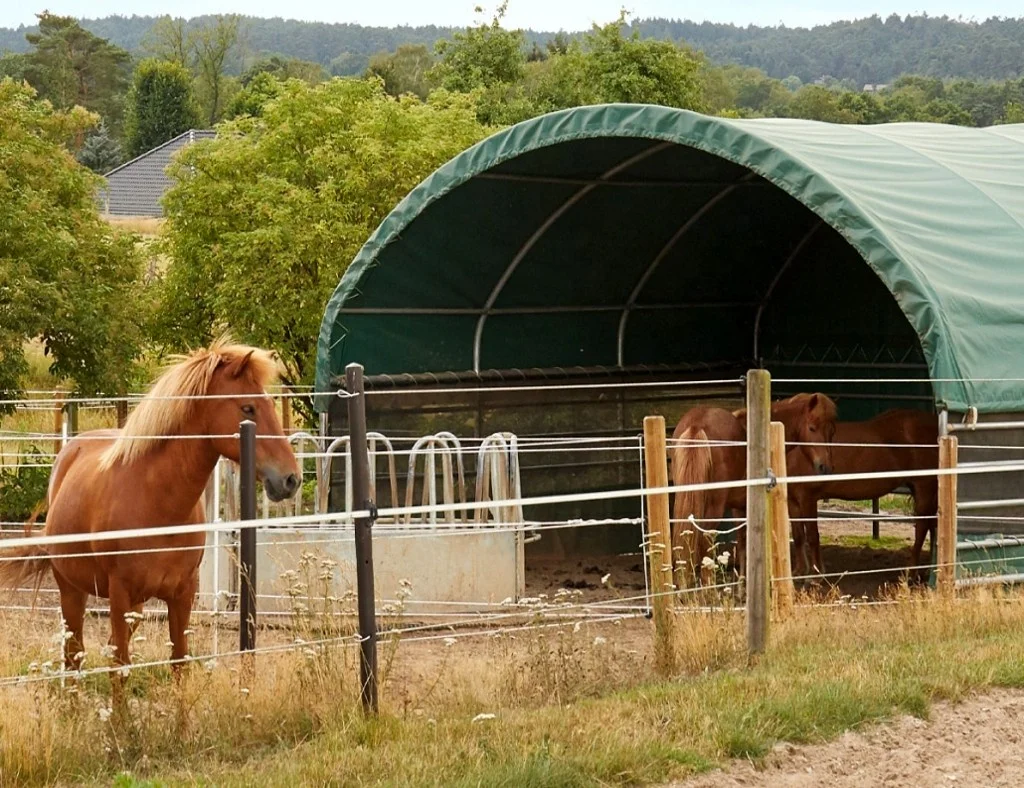 Livestock Shelter, Ranch  Horse Shelter