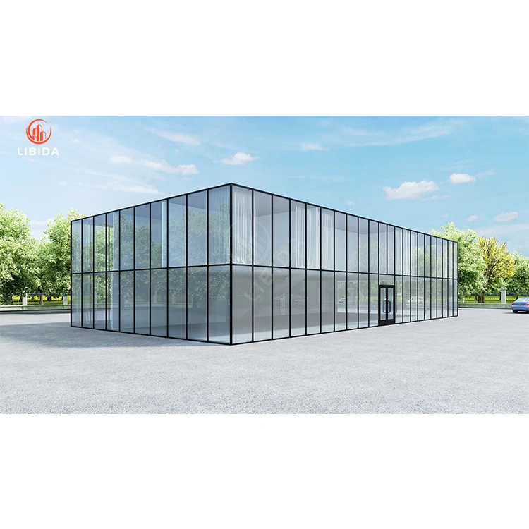 Customized Cheap Durable Steel Structure Warehouse/Workshop/Shed/Hangar/Hall Buildings