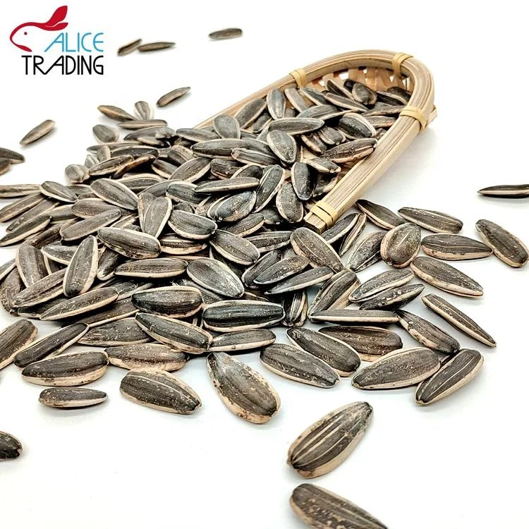 Chinese Inner Mongolia Factory Directly Supply Sunflower Seeds