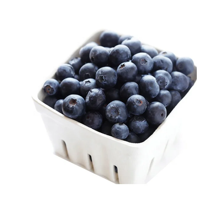 Chinese Factory Exports High-quality Frozen Fruits Frozen Blueberries