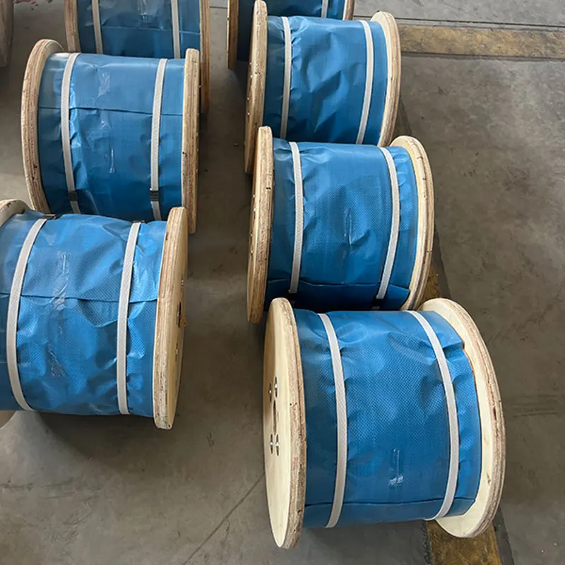 Wholesale High Quality 7X19 Solid Hard Wear-Resistant Pvc Coated Steel Wire Rope