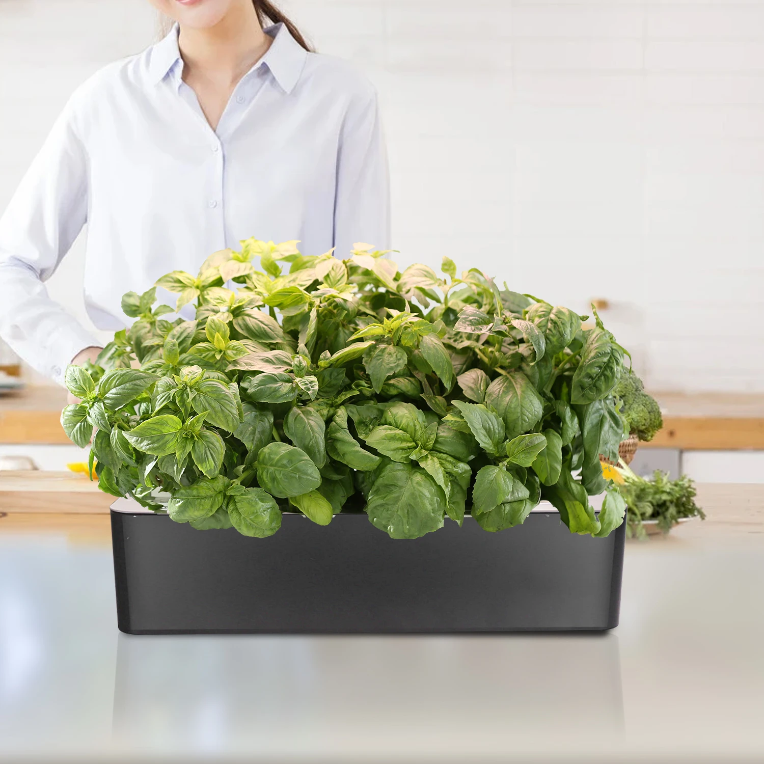 Hydroponic growing box for herbs lettuce vegetables mini smart garden planter intelligent plant pot smart garden tools